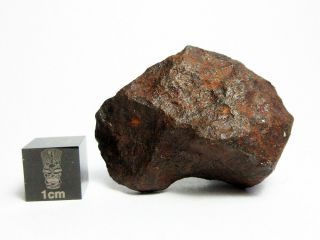 Mundrabilla Iron Meteorite 52.  81g Stunning Siderite Showpiece