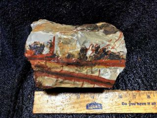Z Indian Paint Stone Faced Rough 5 Lbs 8