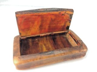 Antique 1830 English Inlaid Burr Birch Wood Horn Inlaid Snuff Box
