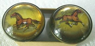 Pair Antique Horse Bridle Rosettes - Brown Horse Trotting On Gold Background -