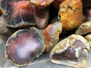 Z Swali / Swazi Rose Agate Rough fr Mozambique,  Africa 10 Lbs 2