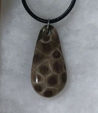 Michigan Petoskey Stone Polished Pendant Necklace Hexagonaria Devonian (g)