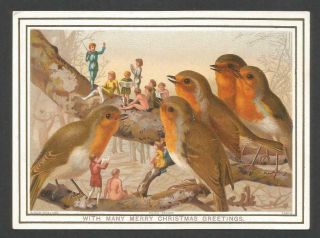 L58 - Pixies And Robins - Prize Design - Raphael Tuck - Victorian Xmas Card