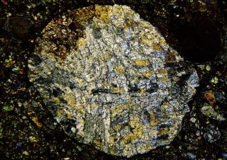 Meteorite Nwa 11344 - L3 - 4 Chondrite - Big 5mm Chondrule Thin Section