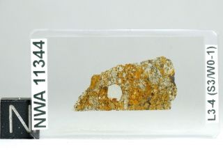 Meteorite NWA 11344 - L3 - 4 Chondrite - Big 5mm Chondrule Thin Section 2
