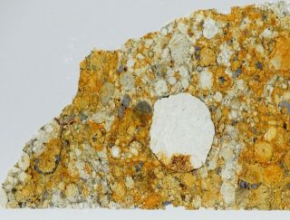 Meteorite NWA 11344 - L3 - 4 Chondrite - Big 5mm Chondrule Thin Section 3