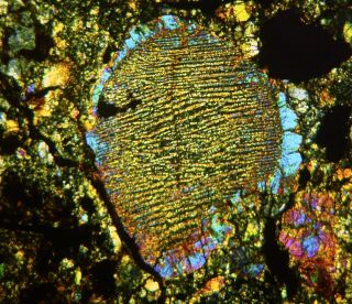 Meteorite NWA 11344 - L3 - 4 Chondrite - Big 5mm Chondrule Thin Section 4
