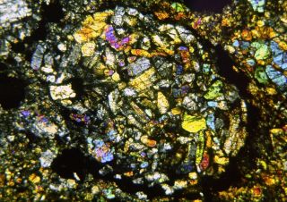 Meteorite NWA 11344 - L3 - 4 Chondrite - Big 5mm Chondrule Thin Section 6