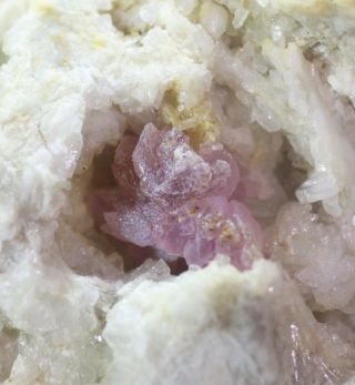 Rose Quartz Crystals In Matrix - Plumbago Mountain,  Newry,  Maine - Classic