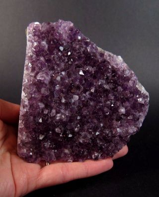 Stunning large amethyst crystal cluster from Uruguay - A,  grade gem crystals 4