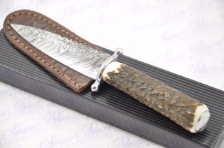 Fantastic Damascus Steel Stag Horn Handle Guard Sgian Dubh Made In S