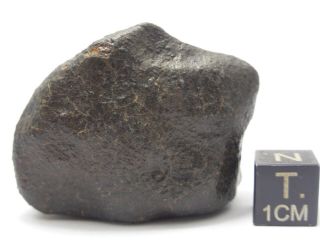 53.  12 g Unclassified Chondrite Meteorite 2