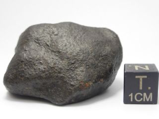 53.  12 g Unclassified Chondrite Meteorite 3