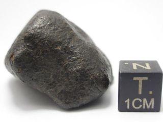 53.  12 g Unclassified Chondrite Meteorite 4