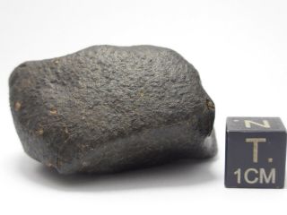53.  12 g Unclassified Chondrite Meteorite 5