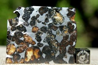 Sericho Pallasite Meteorite from Kenya Africa Habaswein 48 gram part slice 2