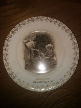 Vintage Souvenir Of Hammond Ny Plate,  Gold,  Children Washing Terrier Dog