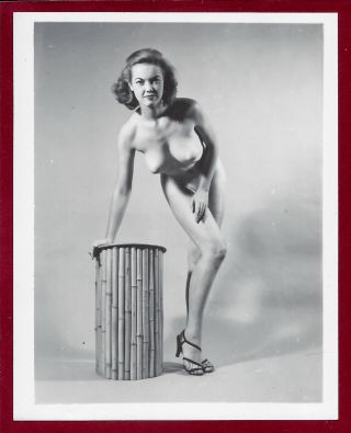 1950s Vintage Nude Photo Big Firm Perfect Breasts Puffy Areolas Pinup Judy O 