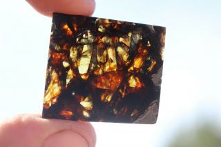 Admire Meteorite Pallasite Part Slice 5.  5 Grams
