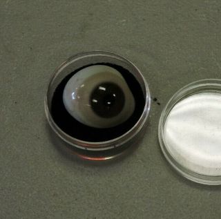 Antique Glass Eyeball,  Human Eye,  Odd,  Prosthetic,  Old,  6 Listed,  (vaa)