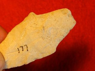 R Authentic Native American Indian artifact arrowheads point 3