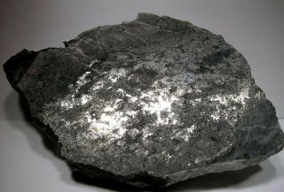 Rich Silver Slab: Penn Canadian Mine,  Cobalt Area,  Ontario,  Canada - Nr