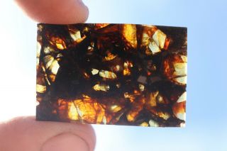 Admire Meteorite Pallasite Part Slice 5.  7 Grams