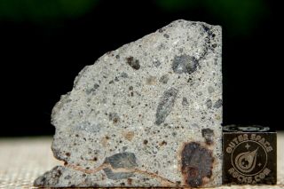 Nwa 8362 Hed Howardite Meteorite 6.  6 Gram Part Slice Of Rare Achondrite