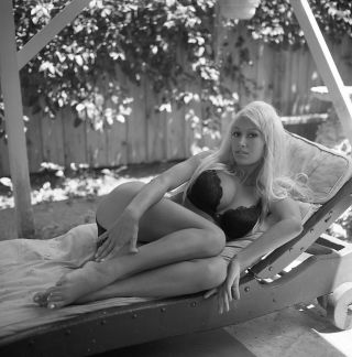 1960s Vogel Negative,  Sexy Pin - Up Girl Kellie Everts Aka Rasa Von Werder T243824