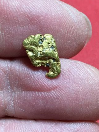 Natural Gold Nugget Specimen With Quartz Rock Bullion From Oregon 1.  28 Gram A65