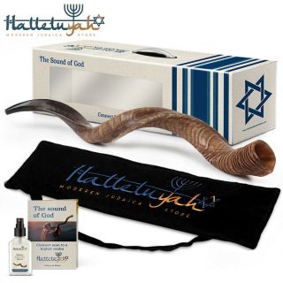 Shofar Natural Kosher Kudu Horn 20  - 24 ",  Bag,  Anti Odor Spray By Halleluyah