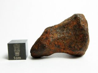 Mundrabilla Iron Meteorite 48.  63g Stunning Siderite Showpiece