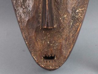 Antique Authentic,  African Congo,  Lega Tribal,  Carved Wood Ceremonial Mask,  NR 5