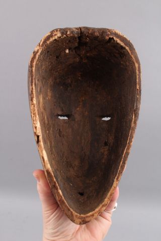 Antique Authentic,  African Congo,  Lega Tribal,  Carved Wood Ceremonial Mask,  NR 8