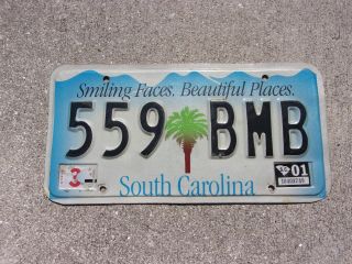 South Carolina 2001 Palm Tree License Plate 559 Bmb