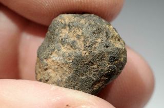 Allende 4.  07g Meteorite individual carbonaceous Chondrite CV3 Fell Mexico 1969 5