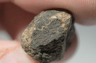 Allende 4.  07g Meteorite individual carbonaceous Chondrite CV3 Fell Mexico 1969 6