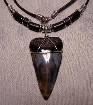 Huge 2 1/16 " Mako Shark Tooth Necklace Fossil Teeth Jaw Fishing Surfer Megalodon