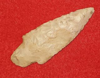 Authentic Native American Artifact Arrowhead 3 - 1/8 " Tennessee Adena Point K23