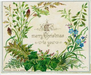 Raphael Tuck Victorian Christmas Greetings Card Grasses Ivy Flowers