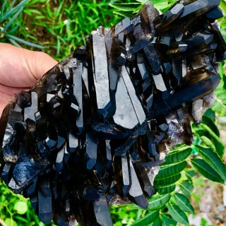 3.  59LB Natural Black Quartz Crystal Cluster Mineral Specimen Rare 757 2
