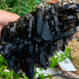 3.  59LB Natural Black Quartz Crystal Cluster Mineral Specimen Rare 757 8