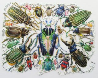 1880s Victorian Chromo Die Cut Scraps - Uncut Sheet 28 Bugs