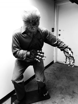 Life Size Wolfman Statue Universal Monster Statue Talbot Classic Horror 2