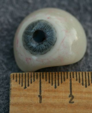 Premium Vintage Human Prosthetic Eye,  Rare Antique Glass Artificial Eye 122