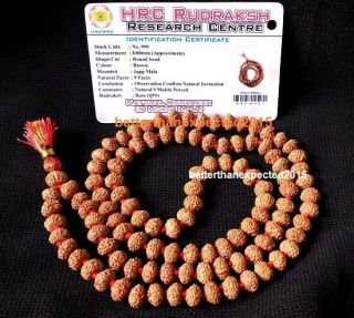 9 Nine Mukhi Rudraksha 109 Java Beads Ketu Durga Power Mala Rudraksh Certified