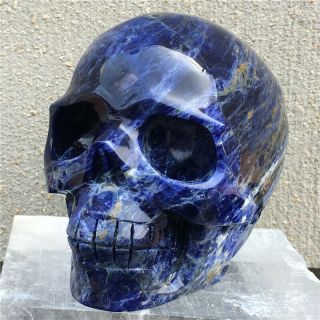 2.  06lb Natural Sodalite Quartz Skull Hand Carved Crystal Healing Hok1048