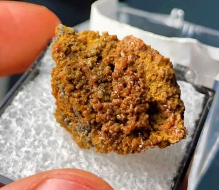 Orange Pharmacosiderite Crystals: Gold Chain Mine,  Mammoth,  Tintic District,  Utah