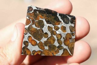 Sericho Meteorite Pallasite From Kenya Part Slice 14.  1 Grams