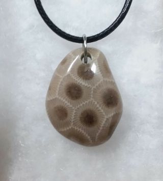 Michigan Petoskey Stone Polished Pendant Necklace Hexagonaria Devonian (h)